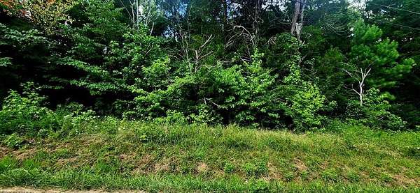 1.3 Acres of Residential Land for Sale in Camden, Tennessee