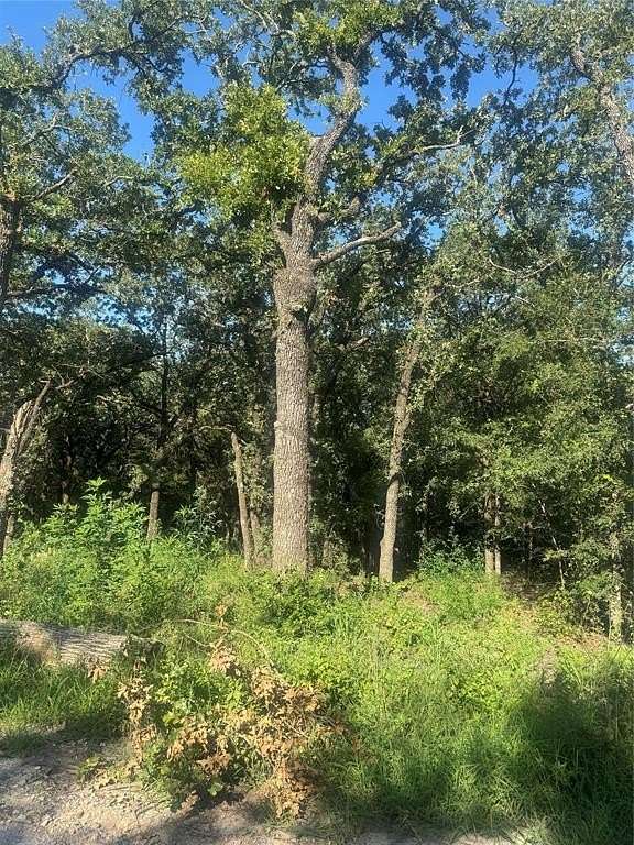 2 Acres of Residential Land for Sale in Bridgeport, Texas