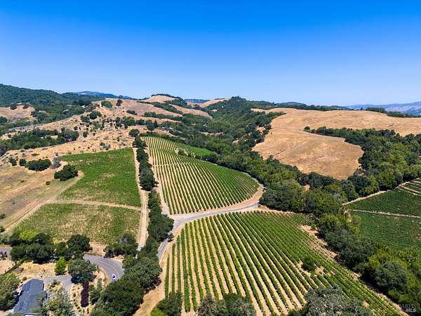 13 Acres of Agricultural Land for Sale in Napa, California