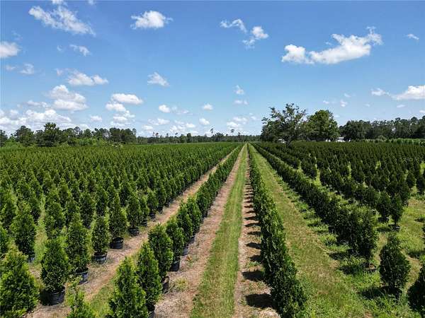 80 2 Acres of Improved Land for - White Springs Fl 144684554 