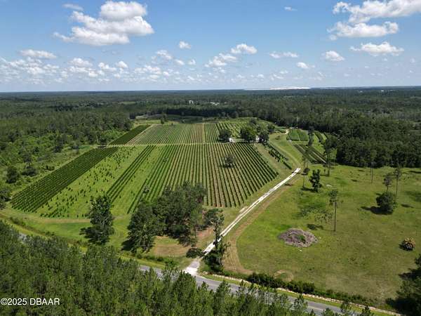 80.2 Acres of Improved Land for Sale in White Springs, Florida