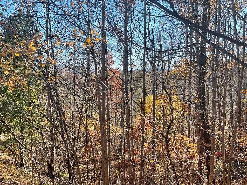 1.39 Acres of Residential Land for Sale in Hayesville, North Carolina