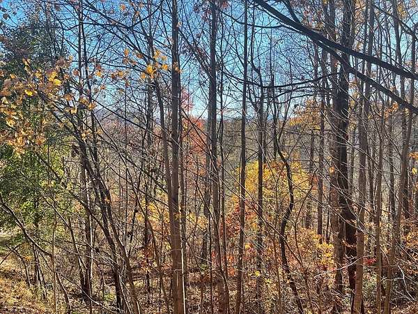 1.39 Acres of Residential Land for Sale in Hayesville, North Carolina