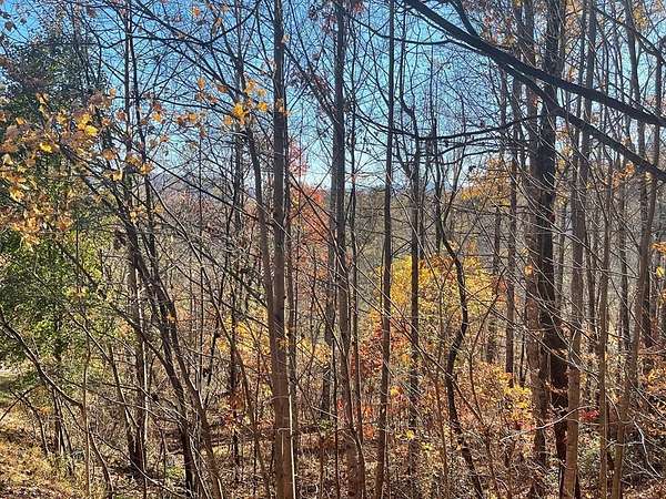 1.39 Acres of Residential Land for Sale in Hayesville, North Carolina