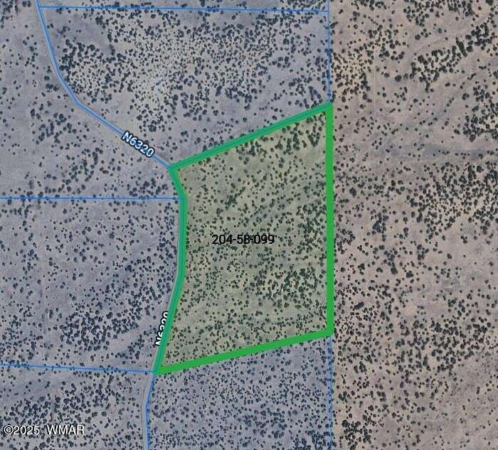 40 Acres of Recreational Land for Sale in St. Johns, Arizona