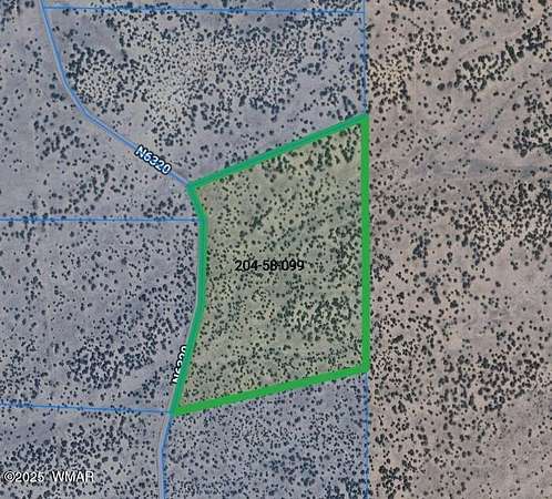 40 Acres of Recreational Land for Sale in St. Johns, Arizona