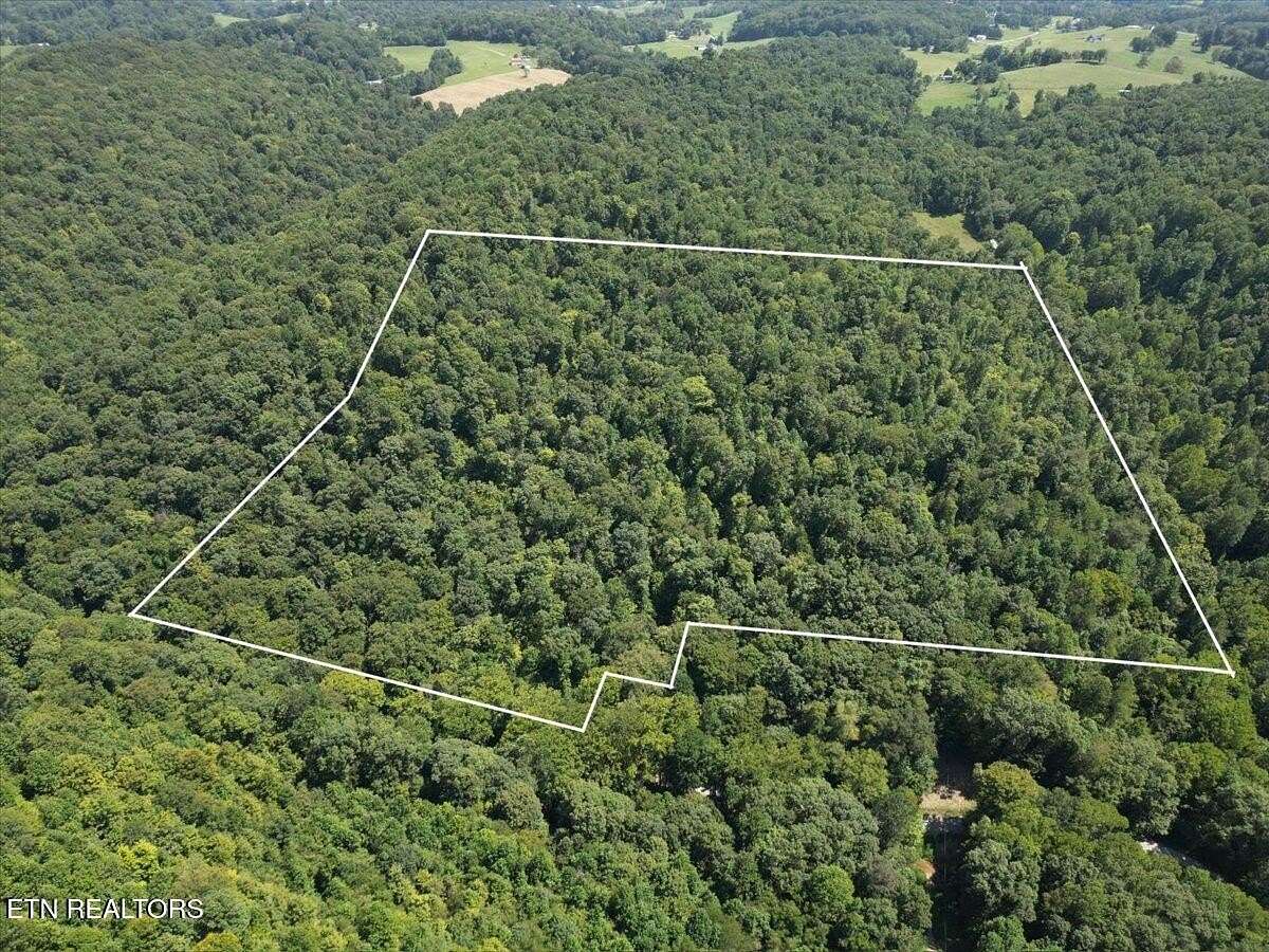 42 Acres of Recreational Land for Sale in Tazewell, Tennessee