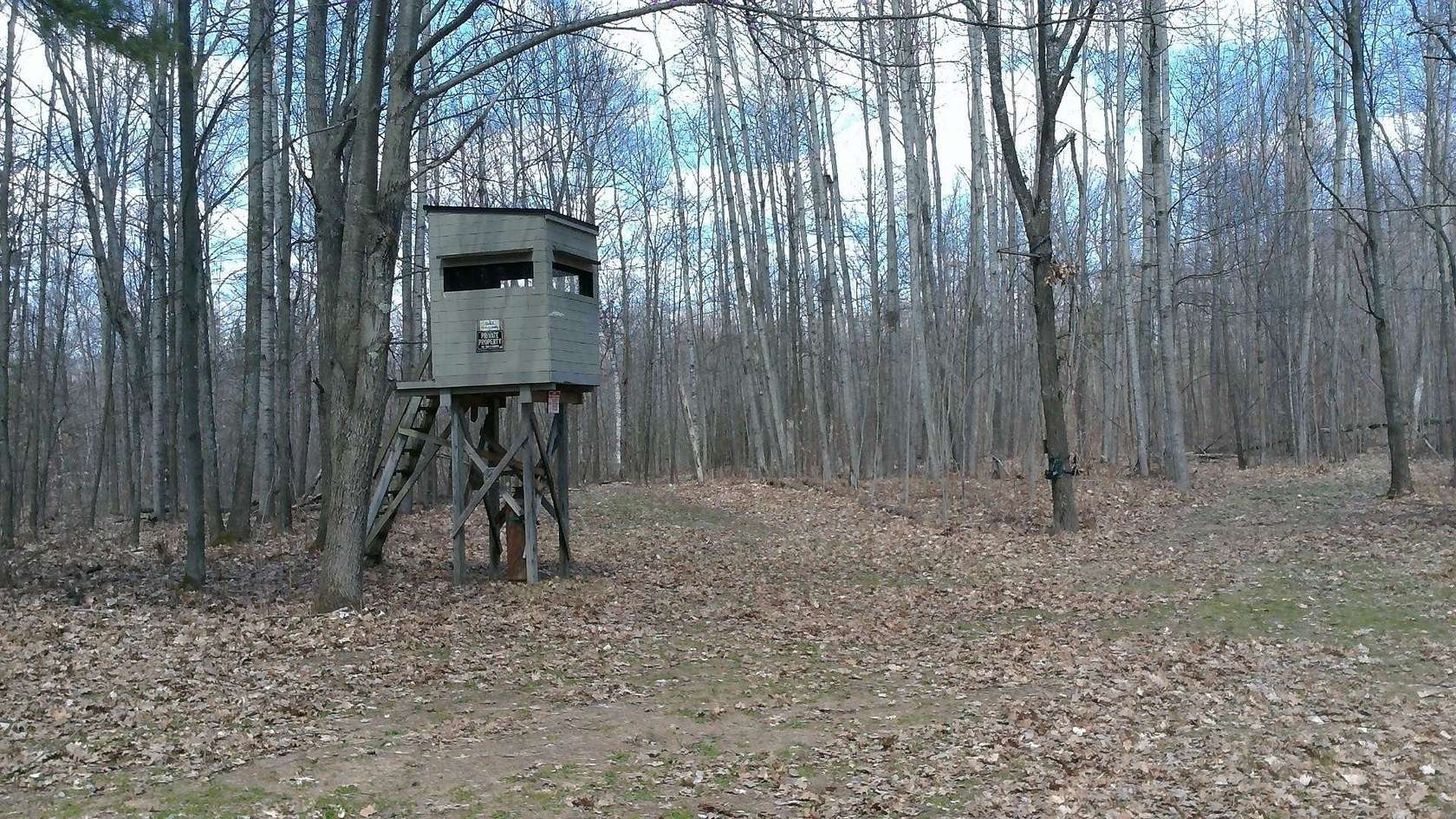 40.3 Acres of Recreational Land for Sale in Lupton, Michigan