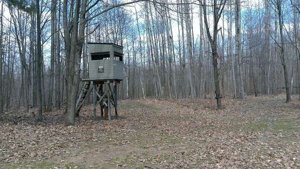 40.3 Acres of Recreational Land for Sale in Lupton, Michigan