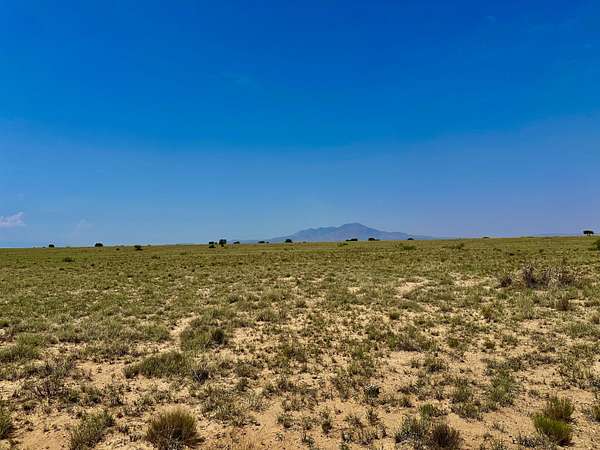 40 Acres of Recreational Land for Sale in Bosque, New Mexico