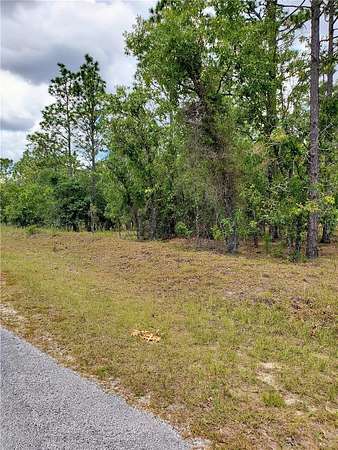 0.99 Acres of Residential Land for Sale in Dunnellon, Florida