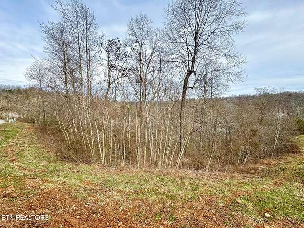 0.26 Acres of Residential Land for Sale in La Follette, Tennessee