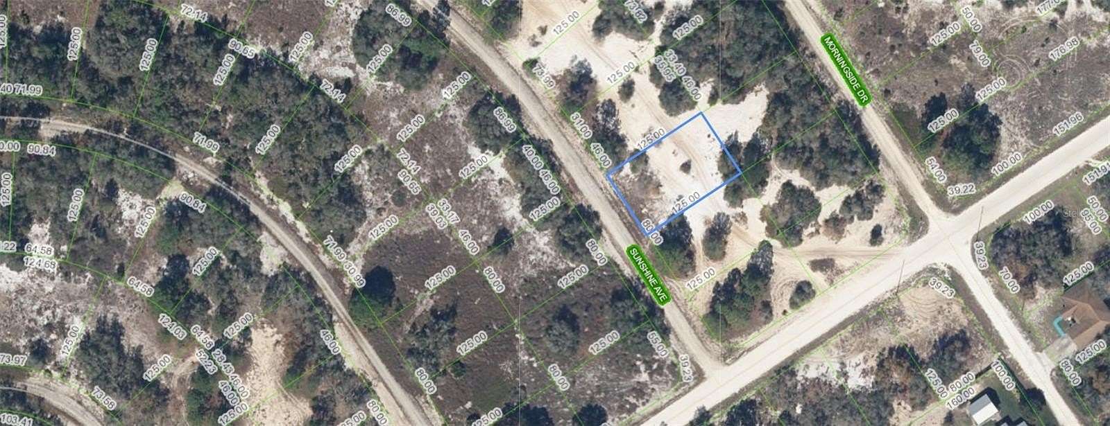 0.23 Acres of Residential Land for Sale in Lake Placid, Florida