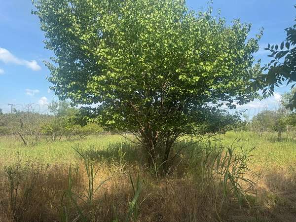 0.62 Acres of Residential Land for Sale in Shamrock, Texas