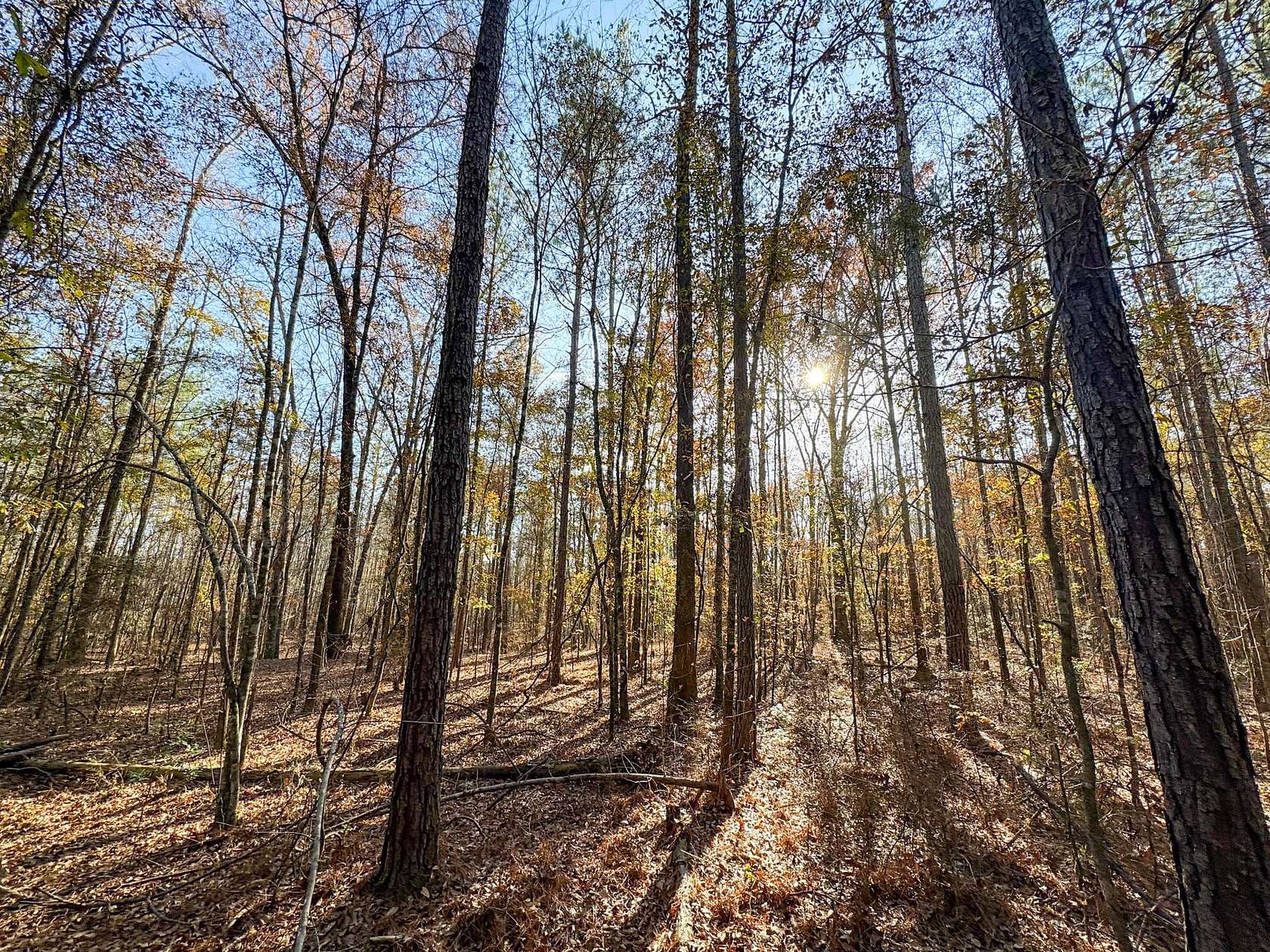 3 Acres of Recreational Land & Farm for Sale in Wetumpka, Alabama