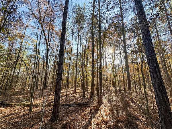 3 Acres of Recreational Land & Farm for Sale in Wetumpka, Alabama