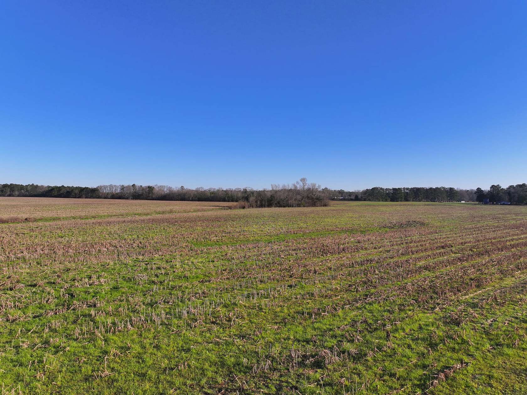 2.5 Acres of Land for Sale in Union Springs, Alabama