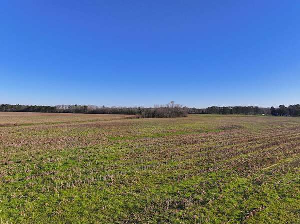 2.5 Acres of Land for Sale in Union Springs, Alabama