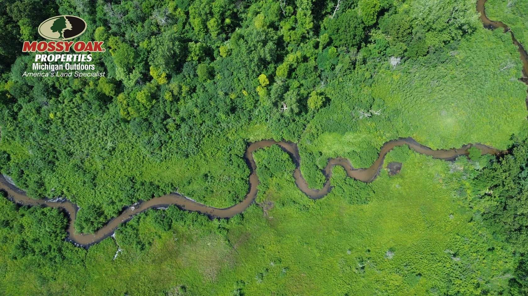 27.8 Acres of Land for Sale in Paw Paw, Michigan