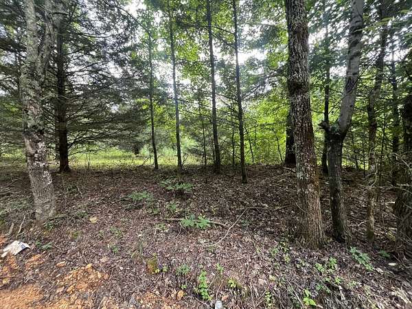 20.1 Acres of Agricultural Land for Sale in Anderson, Alabama
