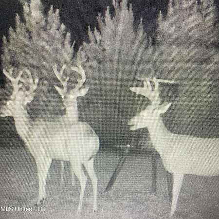 165 Acres of Recreational Land for Sale in Goodman, Mississippi