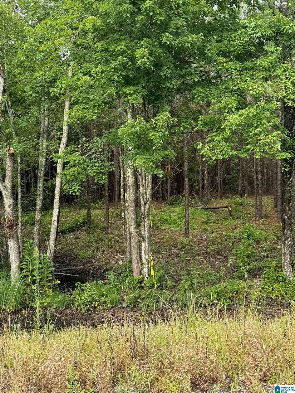 20 Acres of Land for Sale in Talladega, Alabama