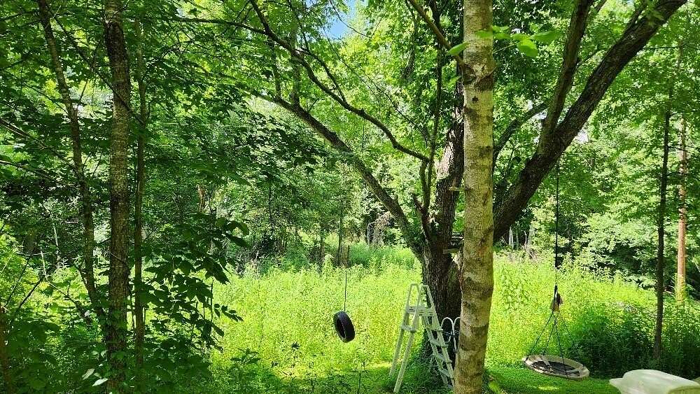 0.4 Acres of Land for Sale in Palmer, Tennessee