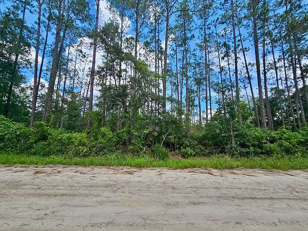 0 22 Acres of Residential Land - Interlachen Fl 144692585 