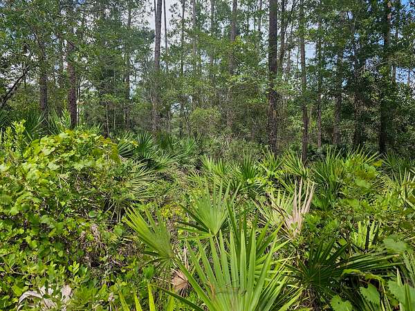 0 22 Acres of Residential Land - Interlachen Fl 144692586 
