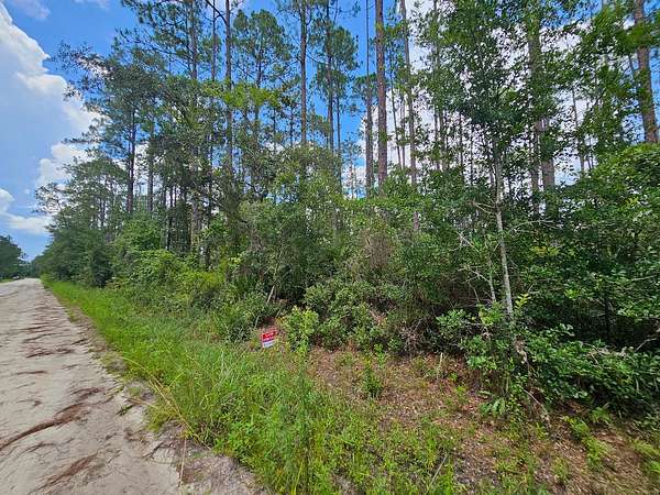 0 22 Acres of Residential Land - Interlachen Fl 144692587 