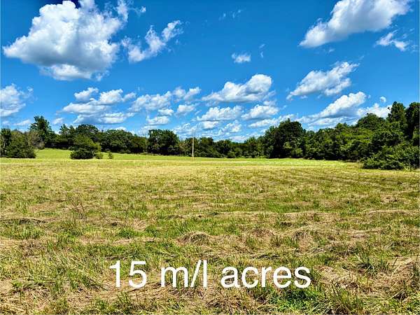 15.3 Acres of Recreational Land & Farm for Sale in Theodosia, Missouri