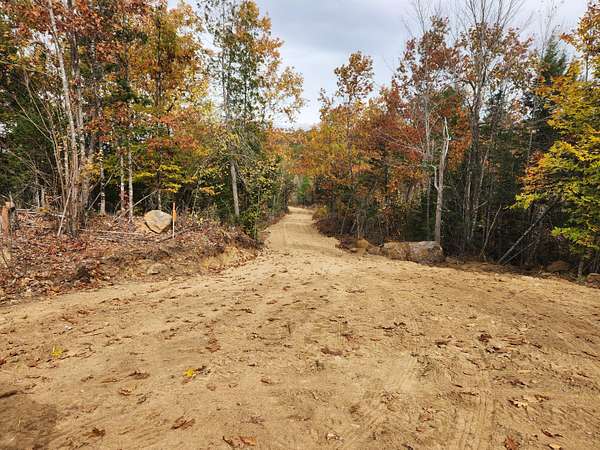 40.1 Acres of Land for Sale in Buckfield, Maine