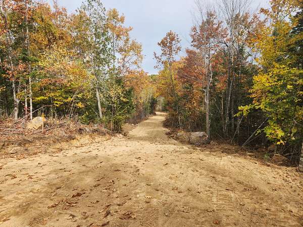 40.1 Acres of Land for Sale in Buckfield, Maine