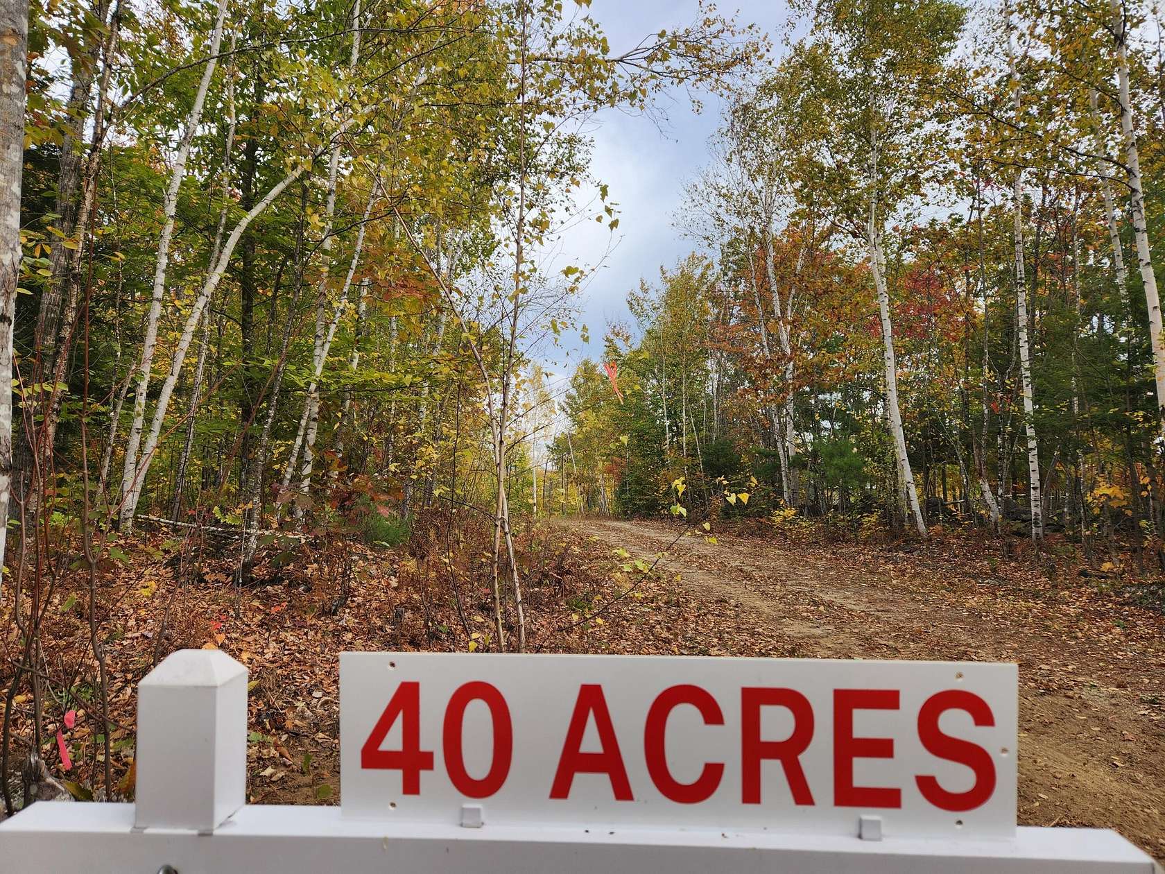40 Acres of Recreational & Residential Land for Sale in Buckfield, Maine