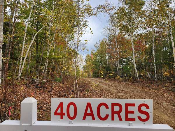 40 Acres of Recreational & Residential Land for Sale in Buckfield, Maine