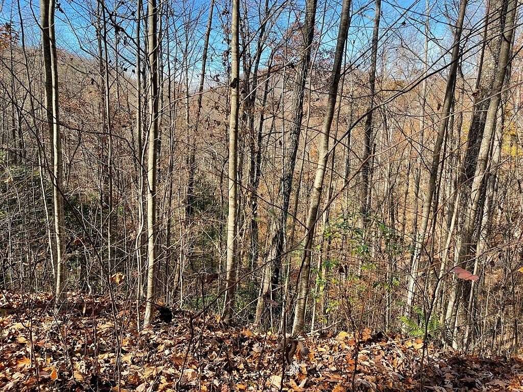 7.12 Acres of Residential Land for Sale in Hayesville, North Carolina