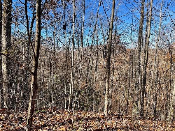 7.12 Acres of Residential Land for Sale in Hayesville, North Carolina
