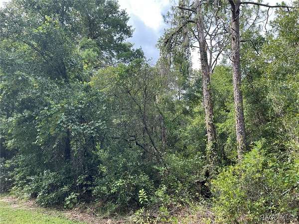 1 Acre of Residential Land for Sale in Hernando, Florida