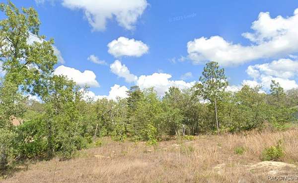 0.29 Acres of Residential Land for Sale in Homosassa, Florida