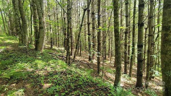 9.9 Acres of Land for Sale in Burnsville, North Carolina