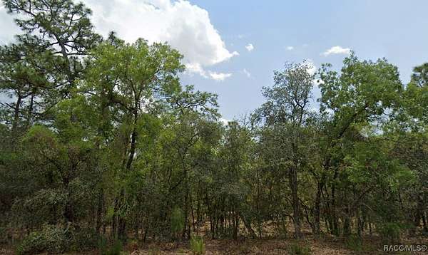 1 Acre of Residential Land for Sale in Beverly Hills, Florida