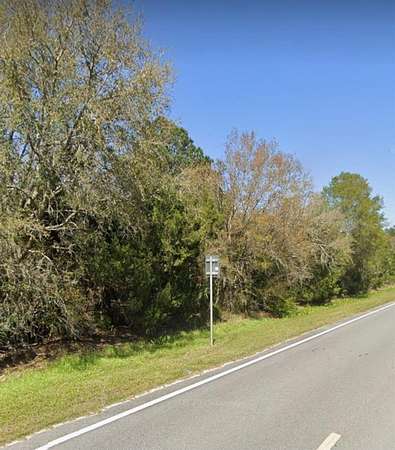 1 Acre of Residential Land for Sale in Bunnell, Florida