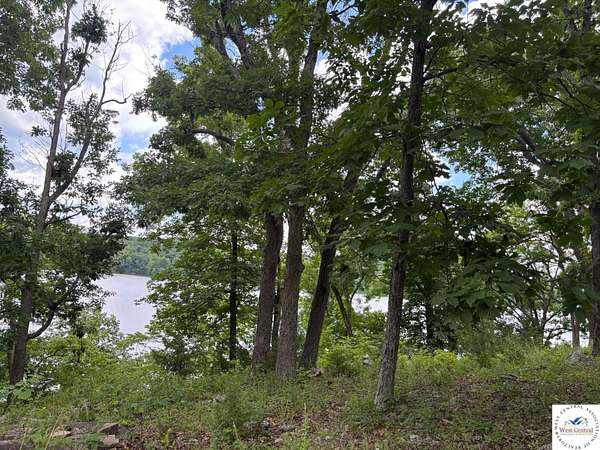 0.34 Acres of Residential Land for Sale in Edwards, Missouri