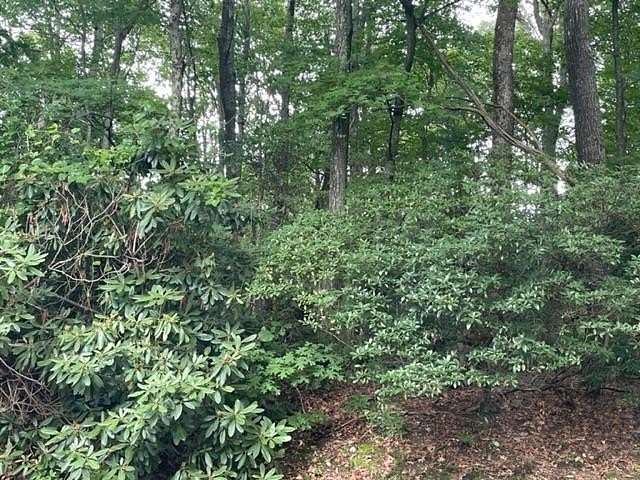 0.33 Acres of Land for Sale in Hillsville, Virginia