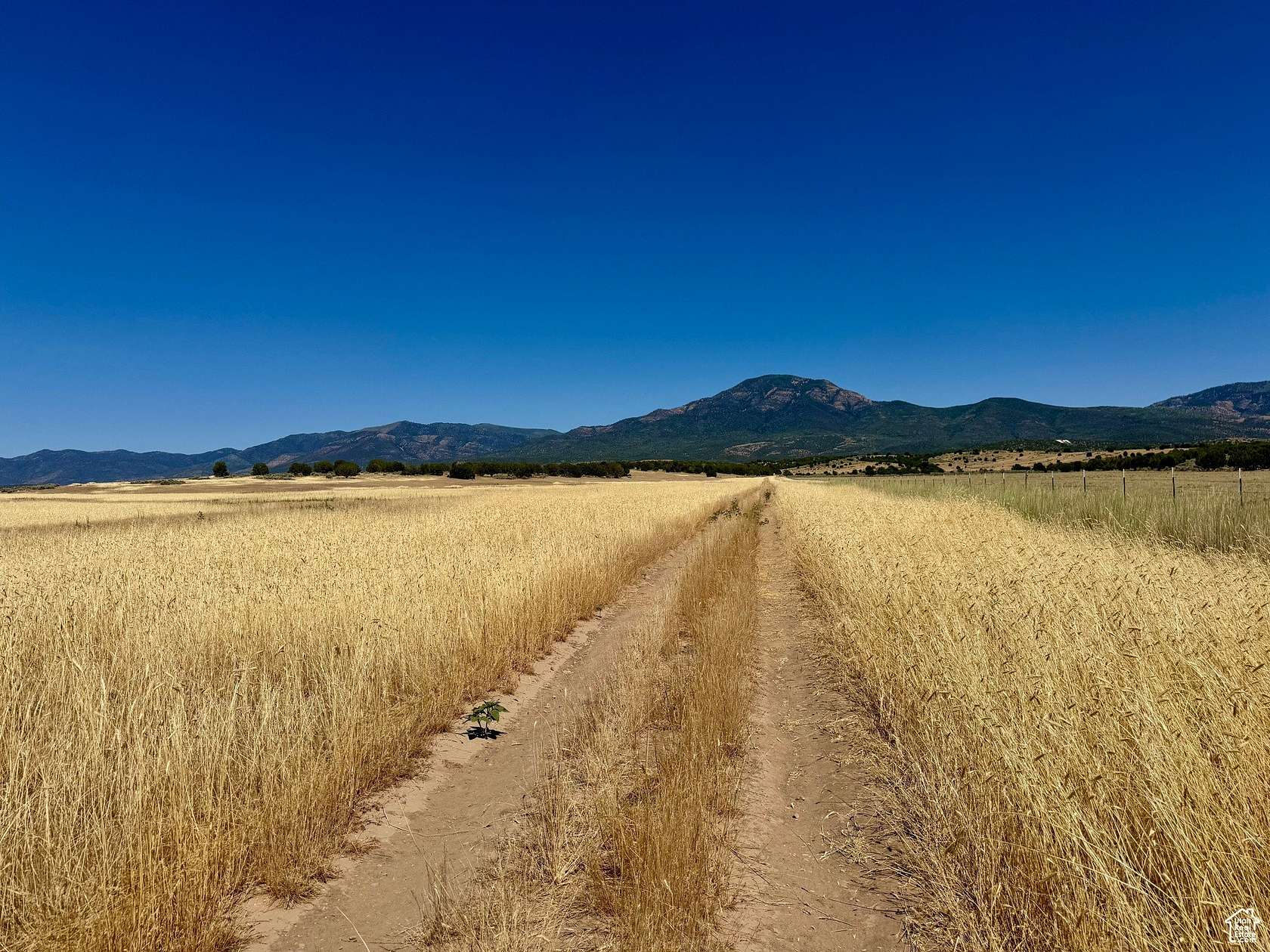 60.8 Acres of Land for Sale in Fillmore, Utah