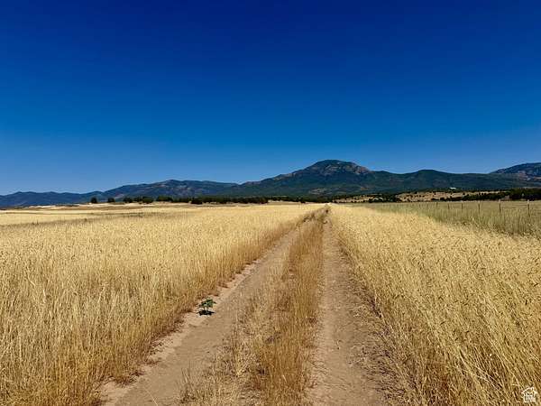 60.8 Acres of Land for Sale in Fillmore, Utah