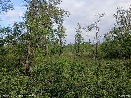 10 Acres of Recreational Land for Sale in Chester Township, Michigan