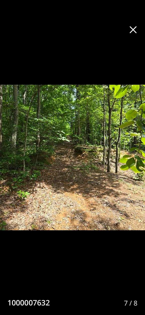 5.5 Acres of Residential Land for Sale in Decatur, Tennessee