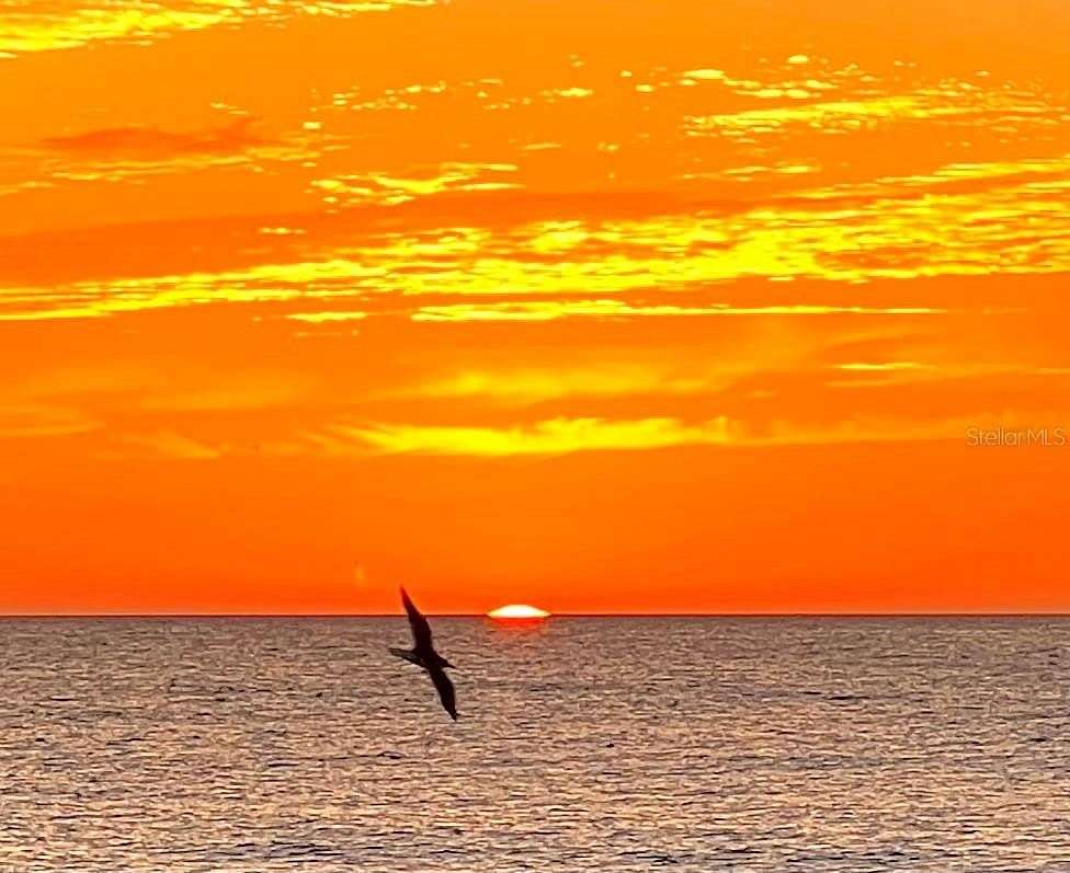 0.12 Acres of Residential Land for Sale in Venice, Florida