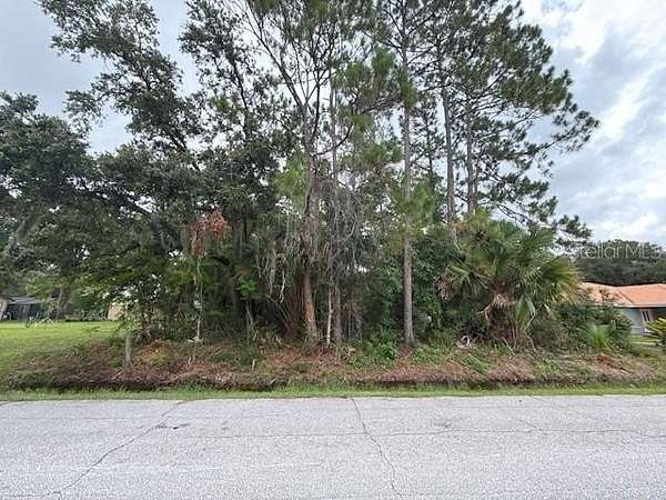 0.23 Acres of Residential Land for Sale in Palm Coast, Florida